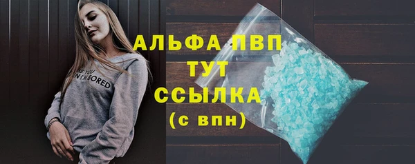 молекула духа Надым