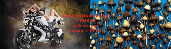 трава Нефтегорск